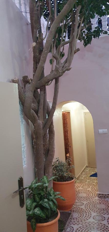 Surf Riad تغازوت المظهر الخارجي الصورة