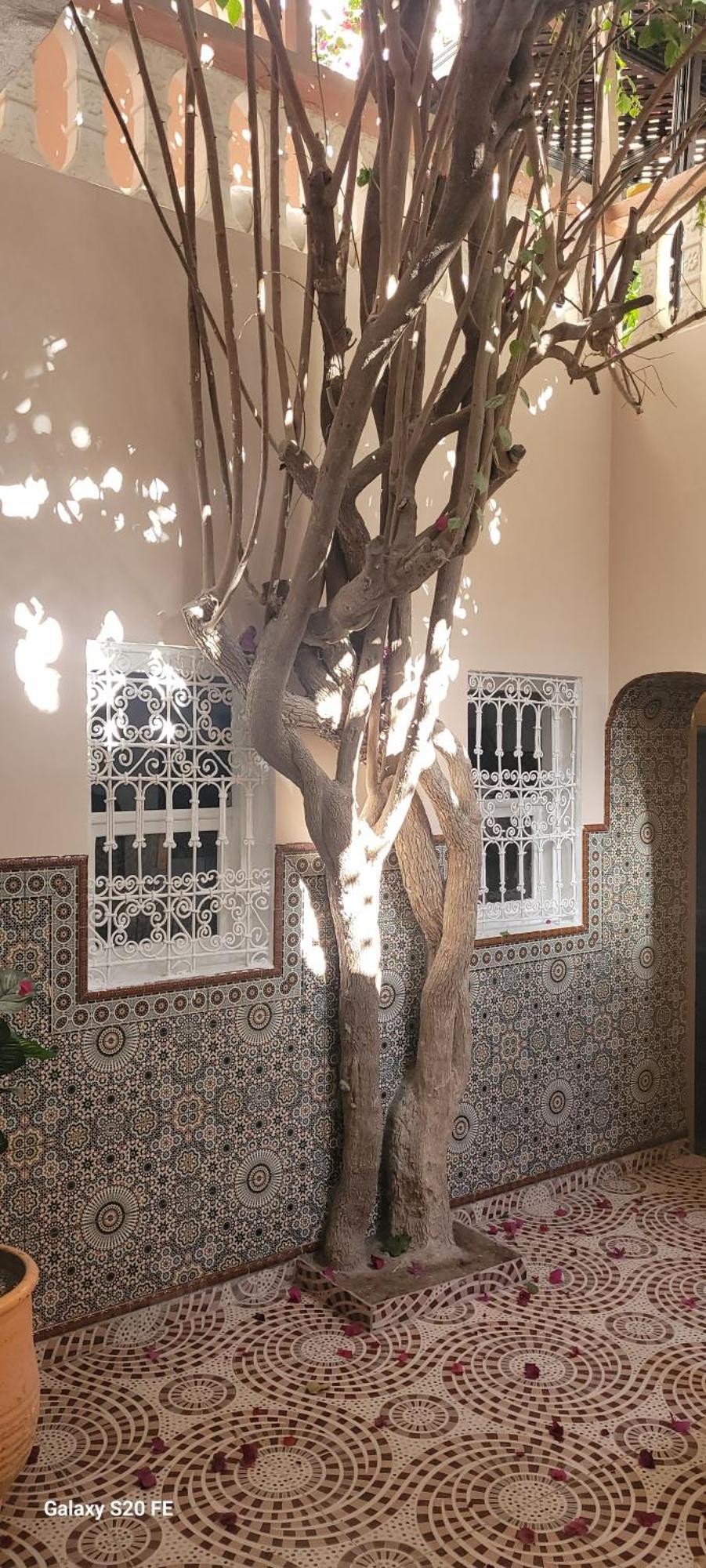 Surf Riad تغازوت المظهر الخارجي الصورة