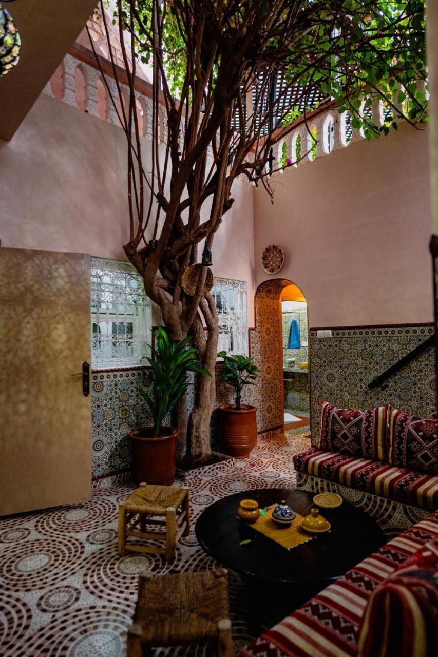 Surf Riad تغازوت المظهر الخارجي الصورة